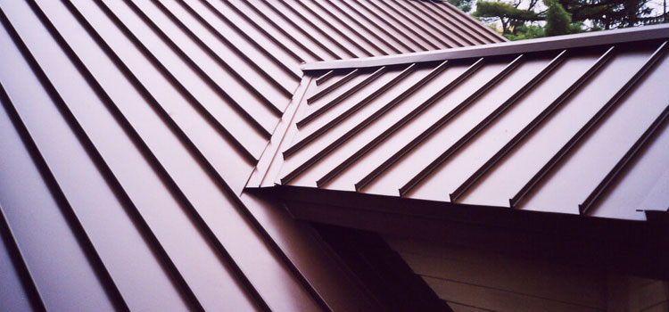 Commercial Metal Roofing Saticoy