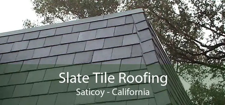 Slate Tile Roofing Saticoy - California