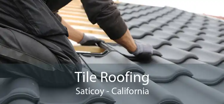 Tile Roofing Saticoy - California